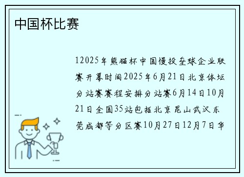 中国杯比赛